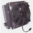 D36-12 Cool-line Oil Cooler 12