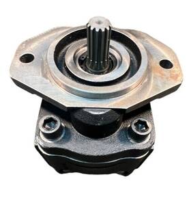 55s3-idv-001-wo1613211 Salami 615111683 Hydraulic Gear Pump Pg330-40r-r