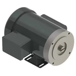 Monarch 50020502371705 Ac Motor, Hp, 1725 Rpm. Fixed Price $217.99.
