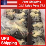 1PCS Factory Sealed R910910590 A10VSO28DFR1/31R-PPA12N00 Rexroth Plunger Pump. Fixed Price $1529.55.