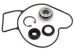 Arctic Cat 700 Efi, 2006, Water Pump Rebuild/seal Kit -. Fixed Price $49.92.