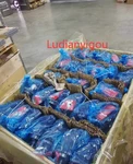 Rexroth Original New A2FE80/61W-VAL100 R902161022 Gear Pump Rapid Ship. Fixed Price $3754.99.