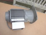 Fuji Electric Geared Motor MGA42A002S005Z. Fixed Price $79.99.
