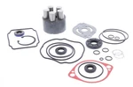 Repair Kit For Hydro-gear Pg Series Hydrostatic Pump. Fixed Price $179.99.
