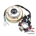 6 Coil Stator + Flywheel Roller Magneto Ignition Plate For. Fixed Price $69.58.