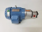Unused Hyundai Crown Triton HEE1-18-143TC 1HP Motor W/ Honor 2GG1U11R Pump. Fixed Price $500.00.