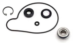 Arctic Cat 500, 1998-2002, Water Pump Rebuild/seal Kit ZR500/CROSS Country. Fixed Price $39.95.