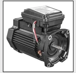 Pentair Hp Pump Motor Square Flange 3-PHASE 208-230/460 Volts Hz 354812S. Fixed Price $499.95.