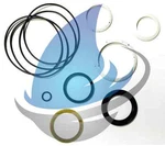 New Char-lynn Series Seal Kit Eaton 60036-000. Fixed Price $20.00.