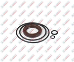 Bosch Rexroth A2FO10 A2FM10 A2F12 A2FO12 A2FO16 A2FM16 Seal Kit R902002214. Fixed Price $106.00.