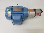 Unused Hyundai Crown Triton HEE1-18-143TC 1HP Motor W/ Honor 2GG1U11R Pump. Fixed Price $500.00.