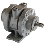 Speedaire 22UX50 Motor, 5.25 Hp, 175 Cfm, 2500 Rpm. Fixed Price $532.99.