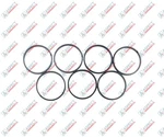 Bosch Rexroth A7VO355, A6VM355, A2FO355, A2FM355 Piston Ring R910921092. Fixed Price $155.00.